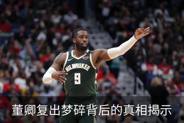董卿复出梦碎背后的真相揭示